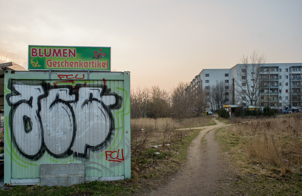 Berlin, Marzahn-Hellersdorf, März 2014: Blumen, Geschenkartikel