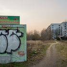 Berlin, Marzahn-Hellersdorf, März 2014: Blumen, Geschenkartikel