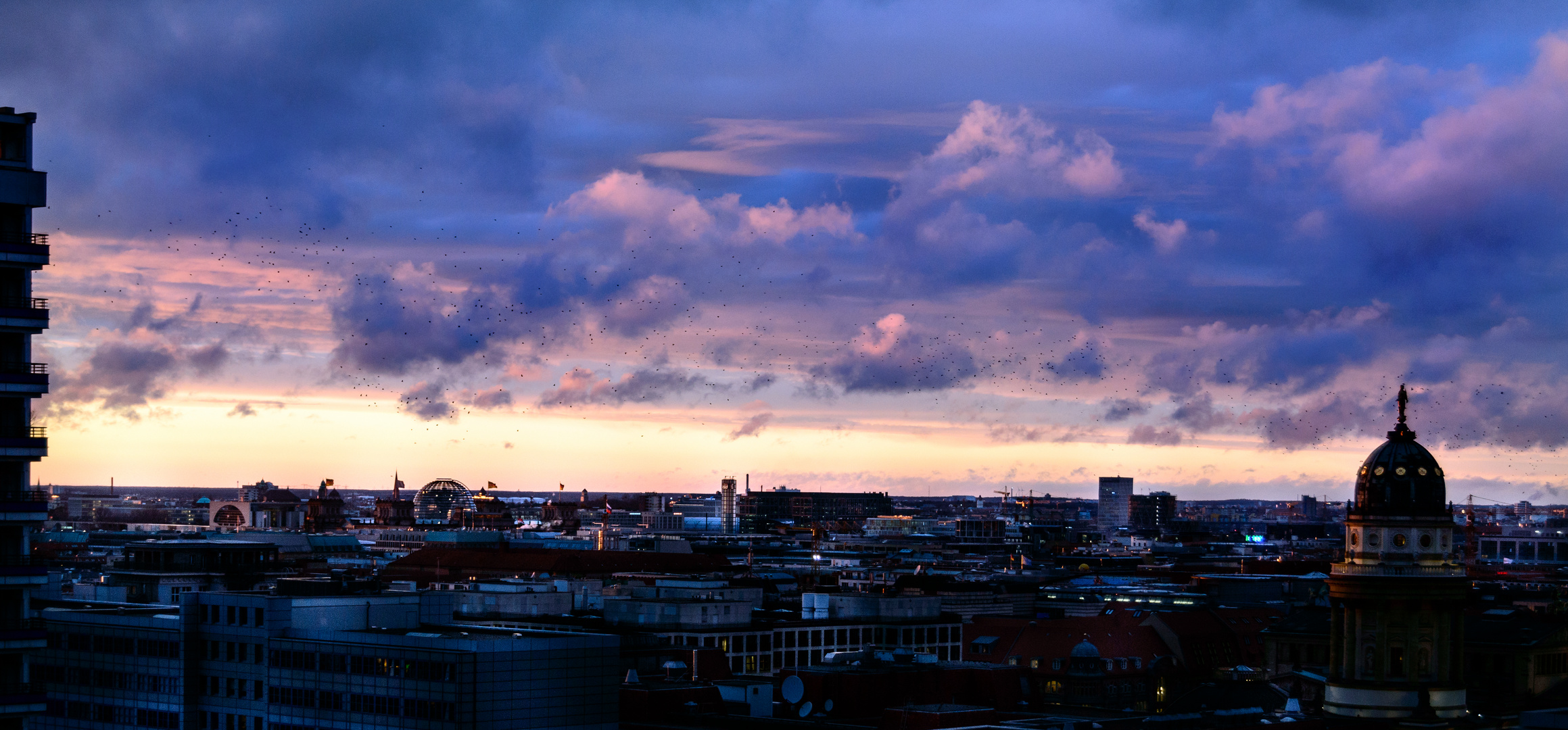 Berlin Mitte im Sonnenuntergang mit Vogelschwarm