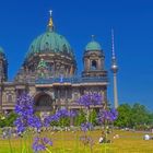 Berlin-Mitte in der Juni-Abendsonne 