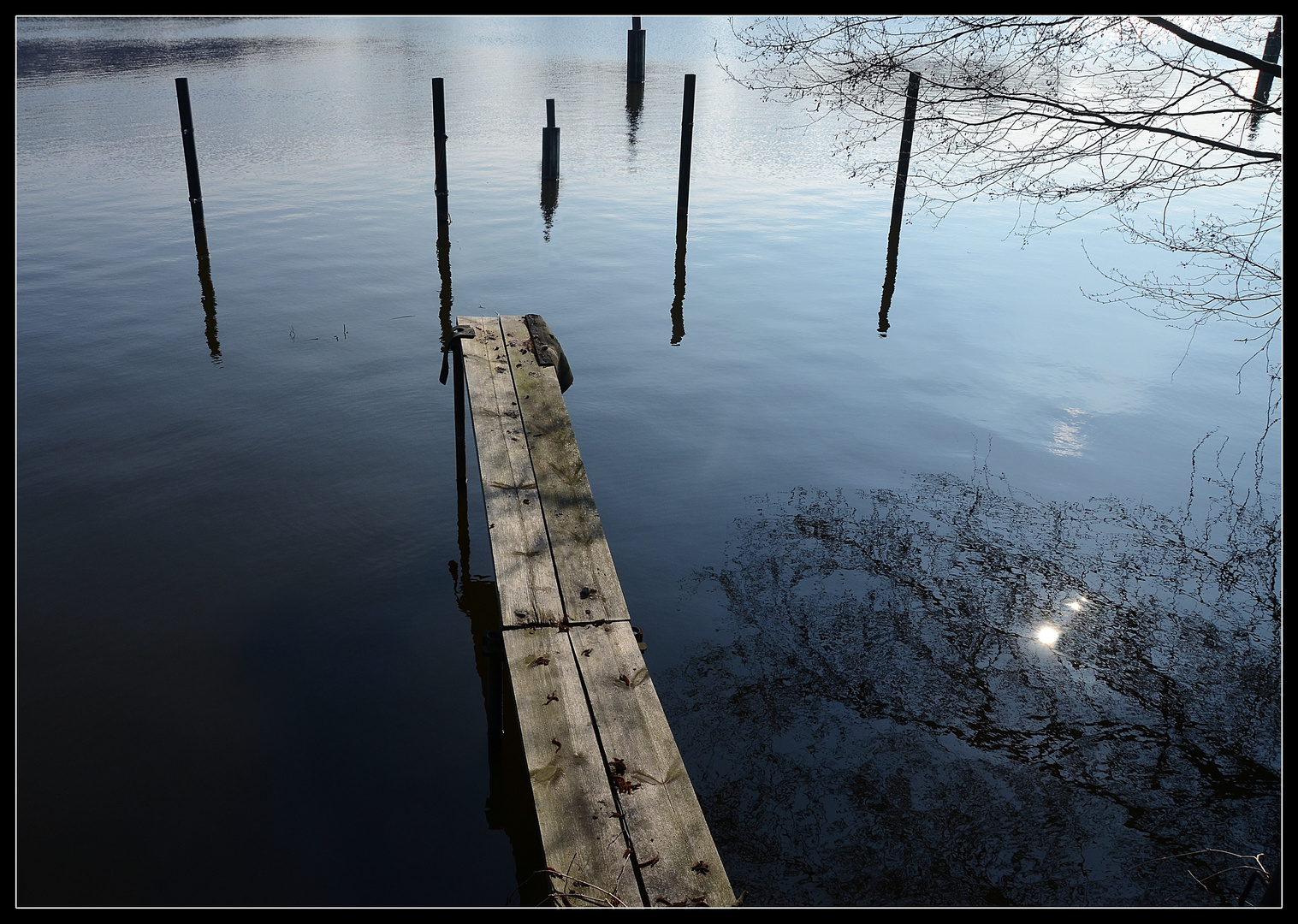 Berlin - Morgens an der Havel