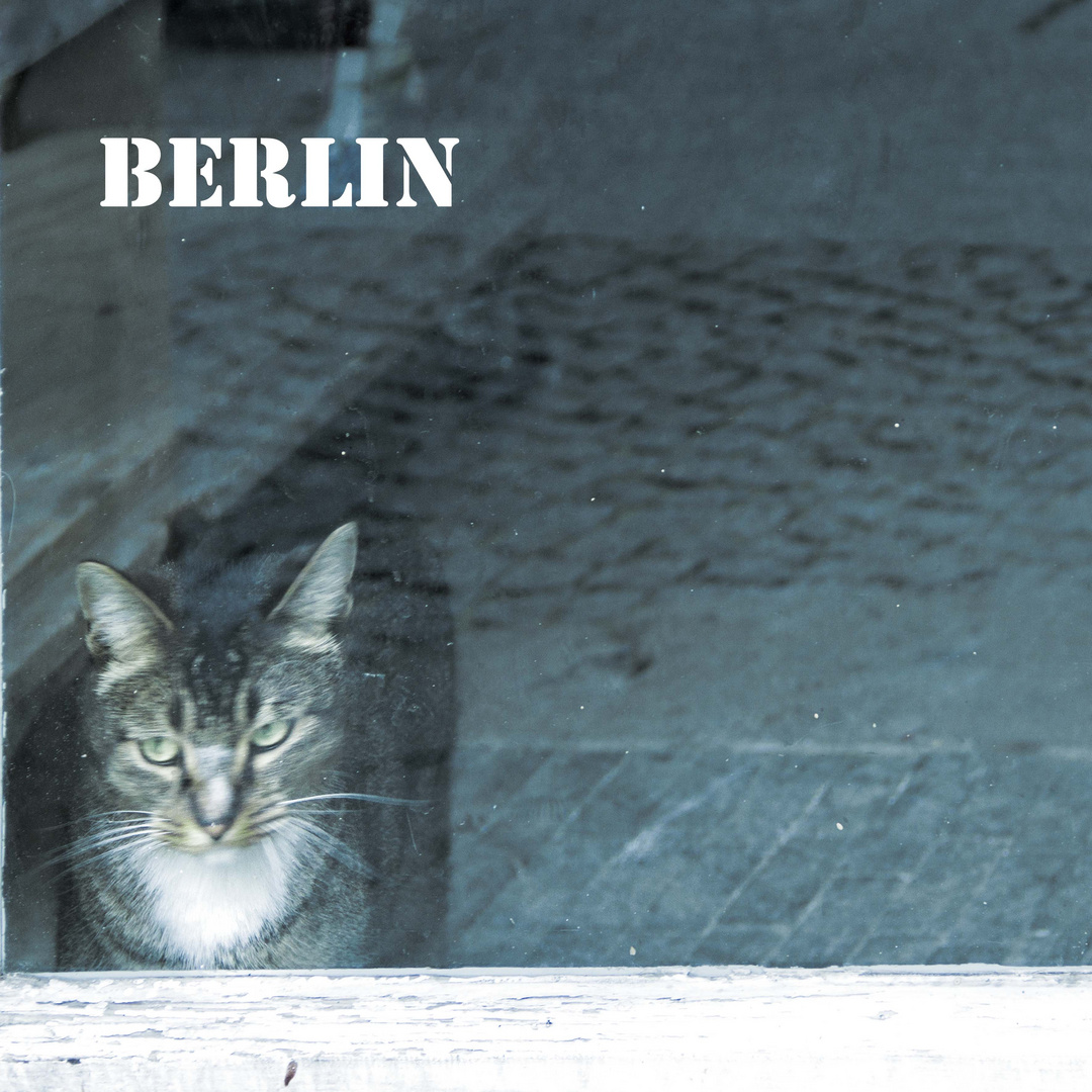 BERLIN - my new book