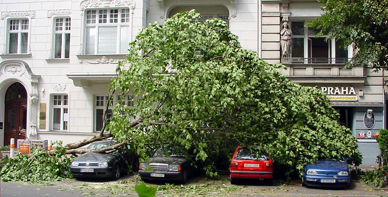 Berlin nach dem Sturm (1)