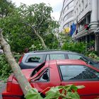 Berlin nach dem Sturm