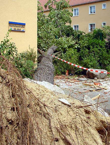 Berlin nach dem Sturm (5)