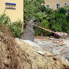 Berlin nach dem Sturm (5)