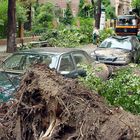 Berlin nach dem Sturm (6)