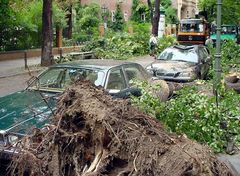 Berlin nach dem Sturm (6)