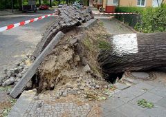 Berlin nach dem Sturm (Reload)
