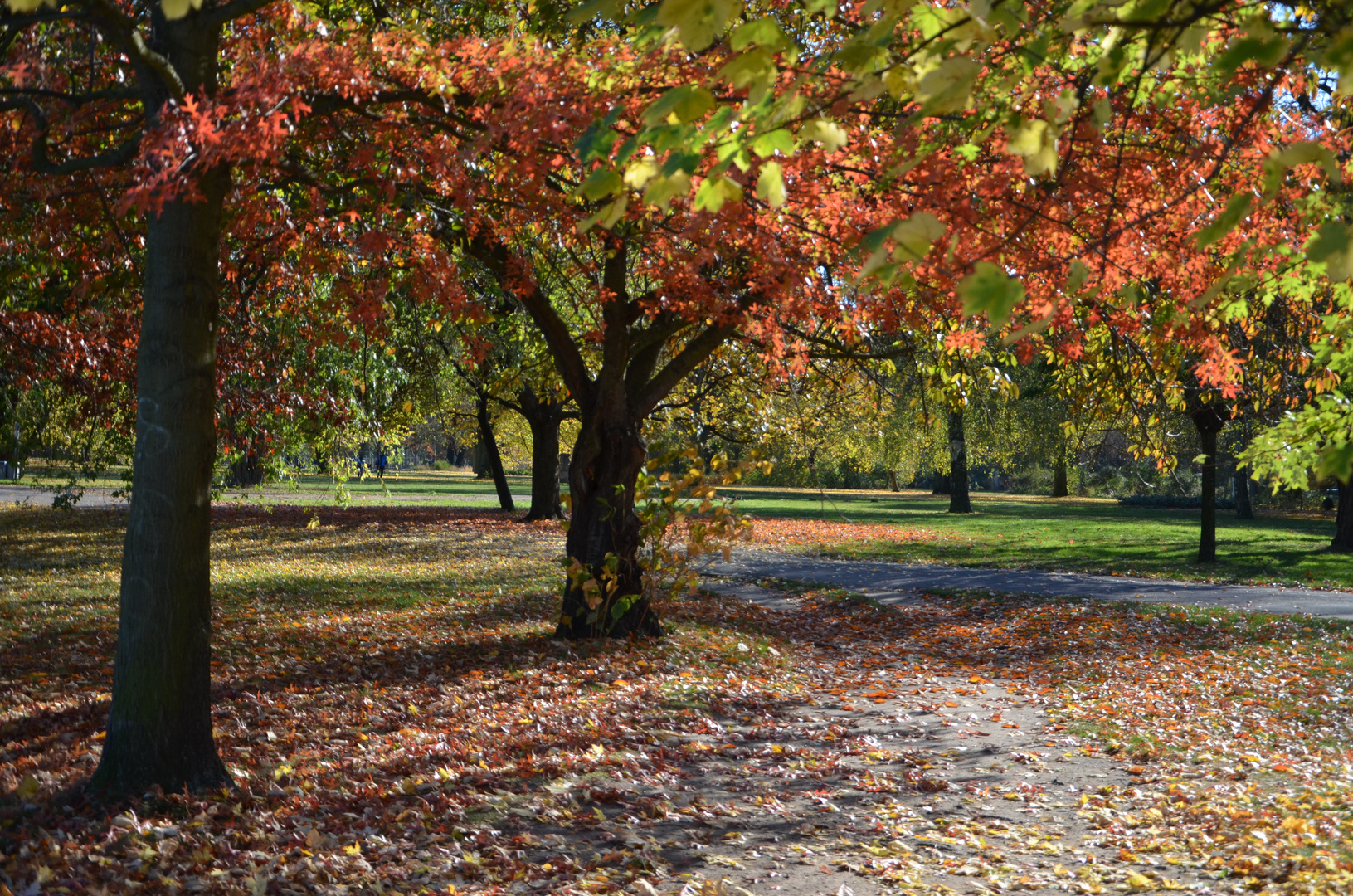 Berlin, Natur