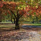 Berlin, Natur