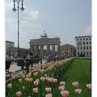 Berlin - Pariser Platz mit Brandenburger Tor...