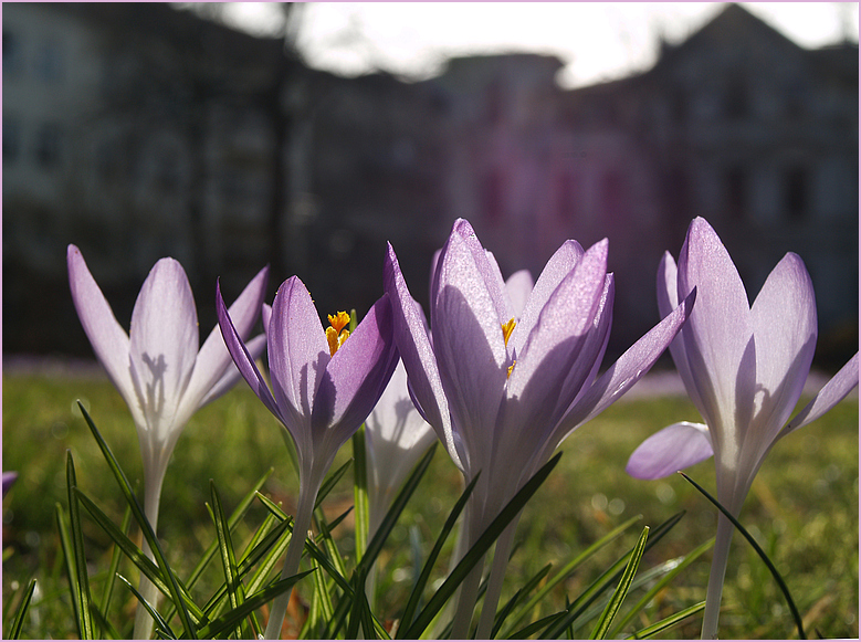 Berlin probt den Frühling