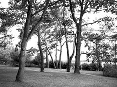 Berlin-Rahnsdorf, Strandbad Müggelsee, 2015