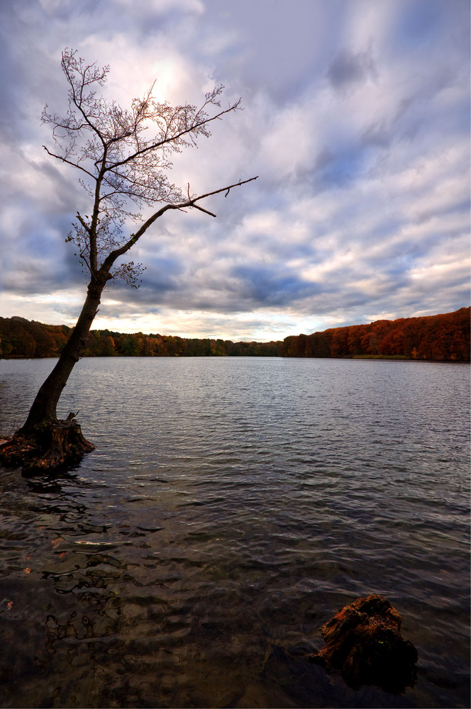 Berlin Schlachtensee im Herbst