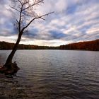 Berlin Schlachtensee im Herbst