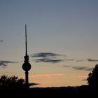 Berlin Sky