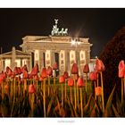 berlin springtime@night (DRI)