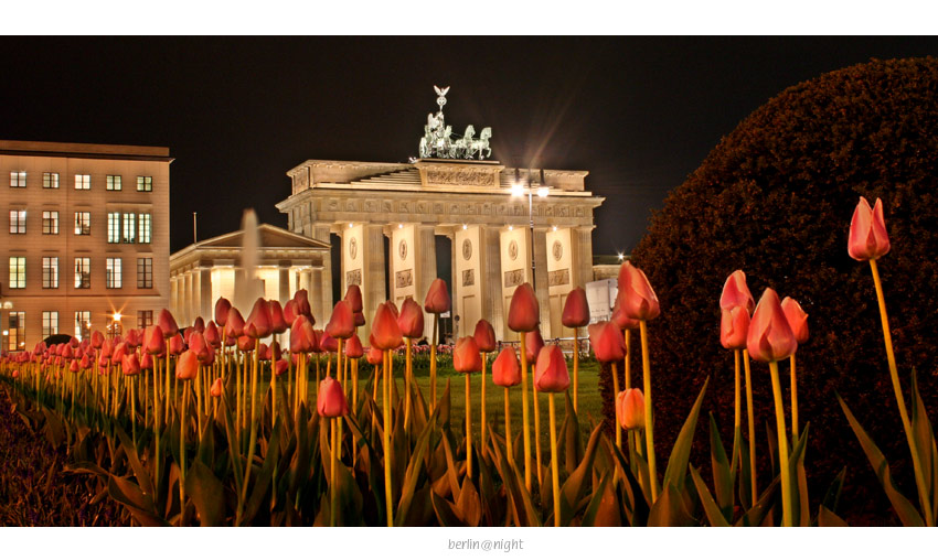 berlin springtime@night (DRI)