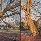 Berlin, Teehaus im Tiergarten (3D)