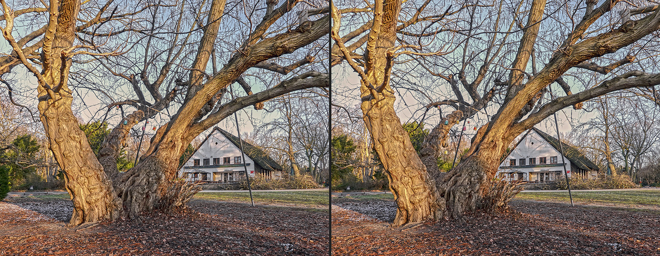 Berlin, Teehaus im Tiergarten (3D)