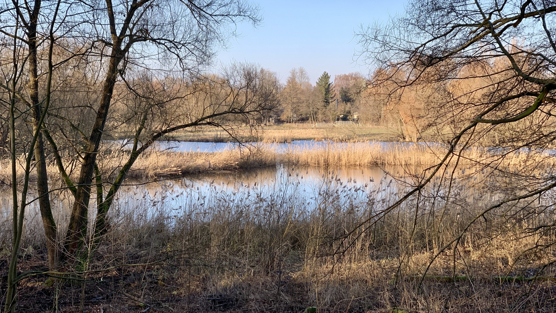 Berlin - Tiefwerder Wiesen