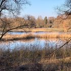 Berlin - Tiefwerder Wiesen