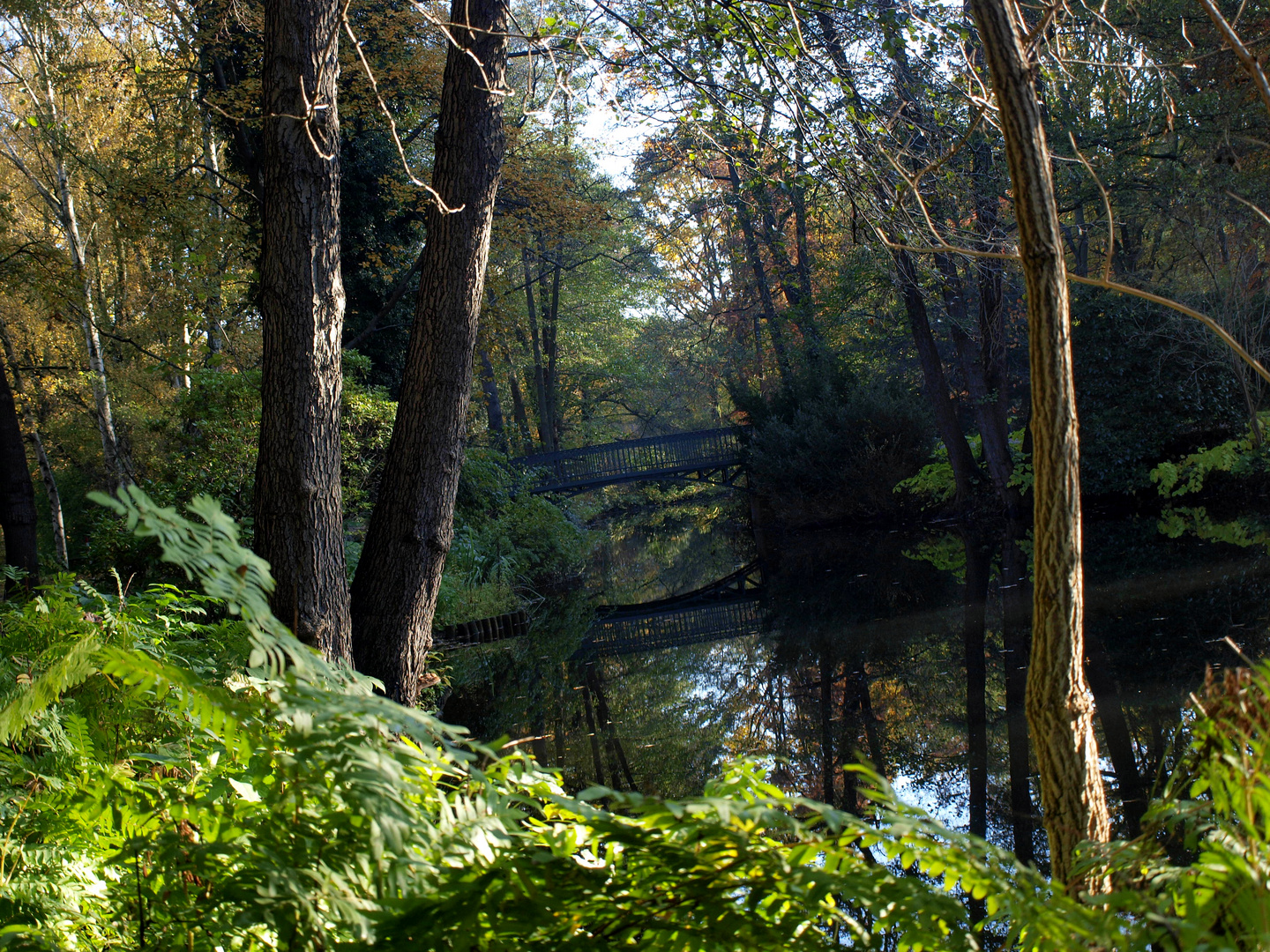 Berlin-Tiergarten, 2019 (Bild 4)