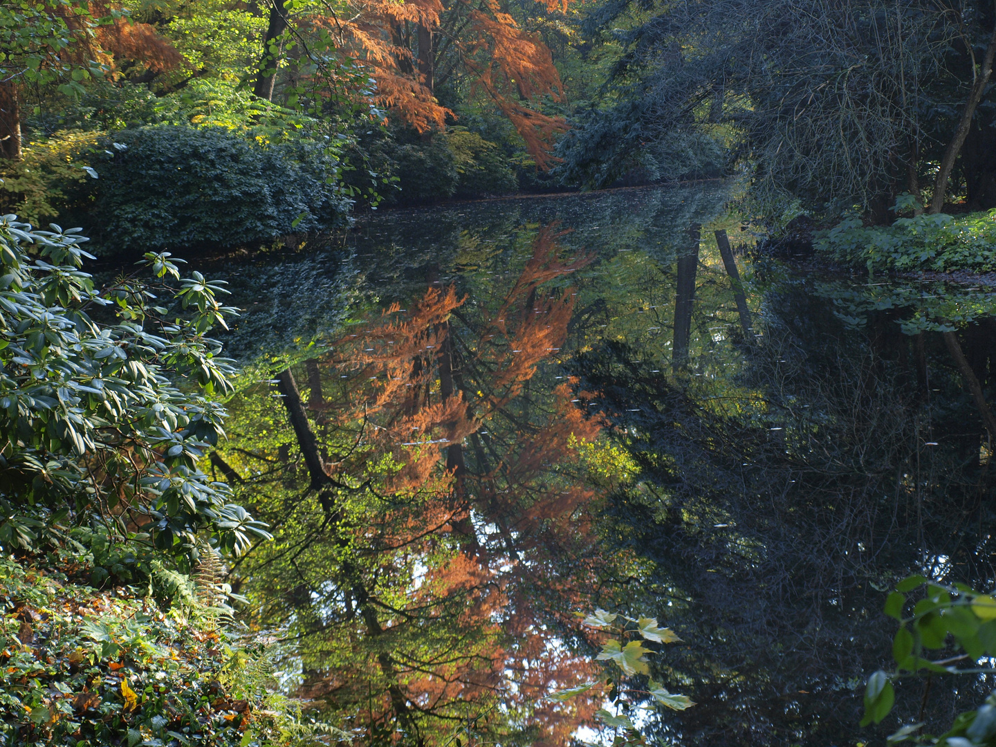 Berlin-Tiergarten, 2019 (Bild 5)