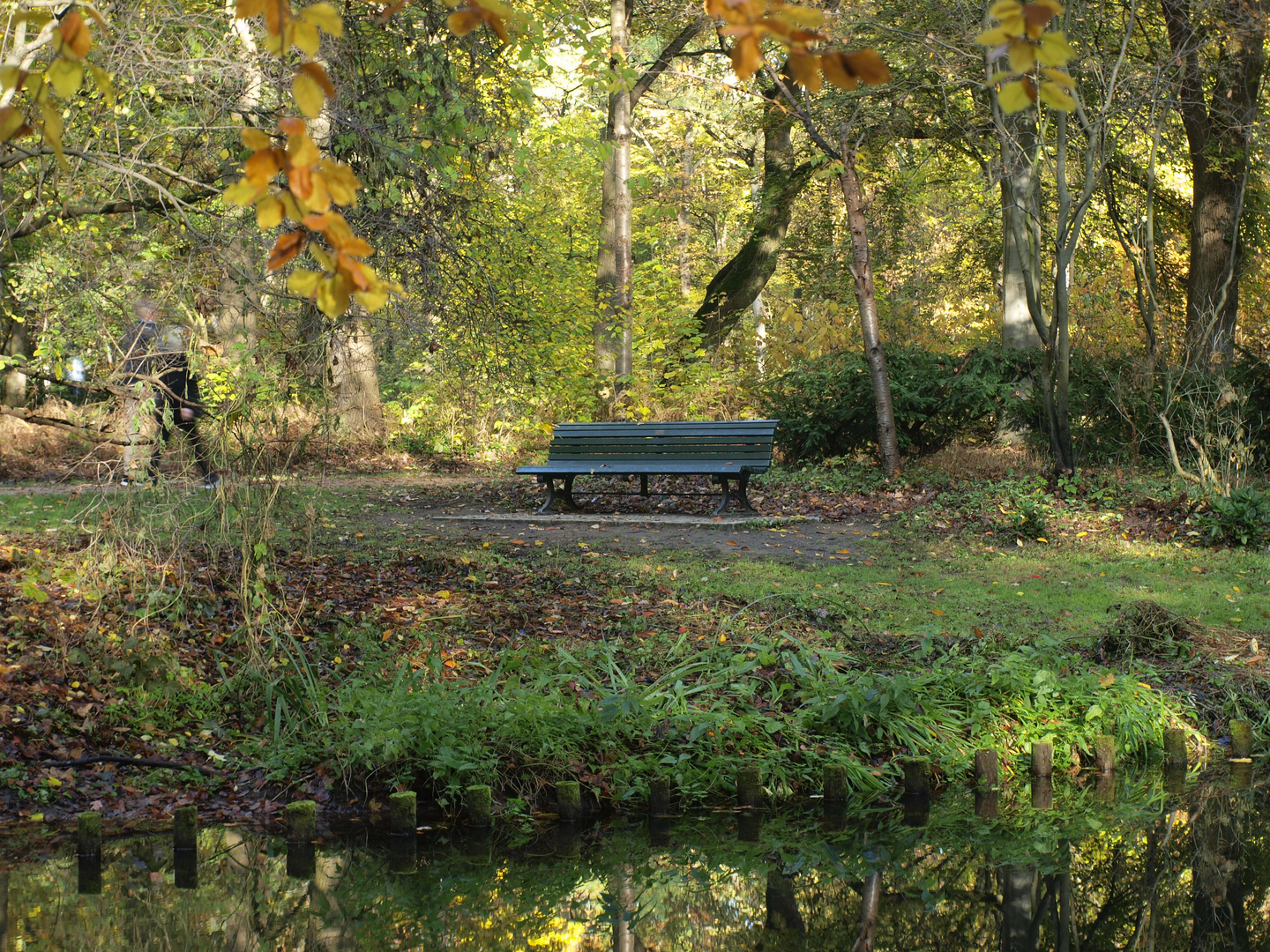 Berlin-Tiergarten, 2019 (Bild 6)