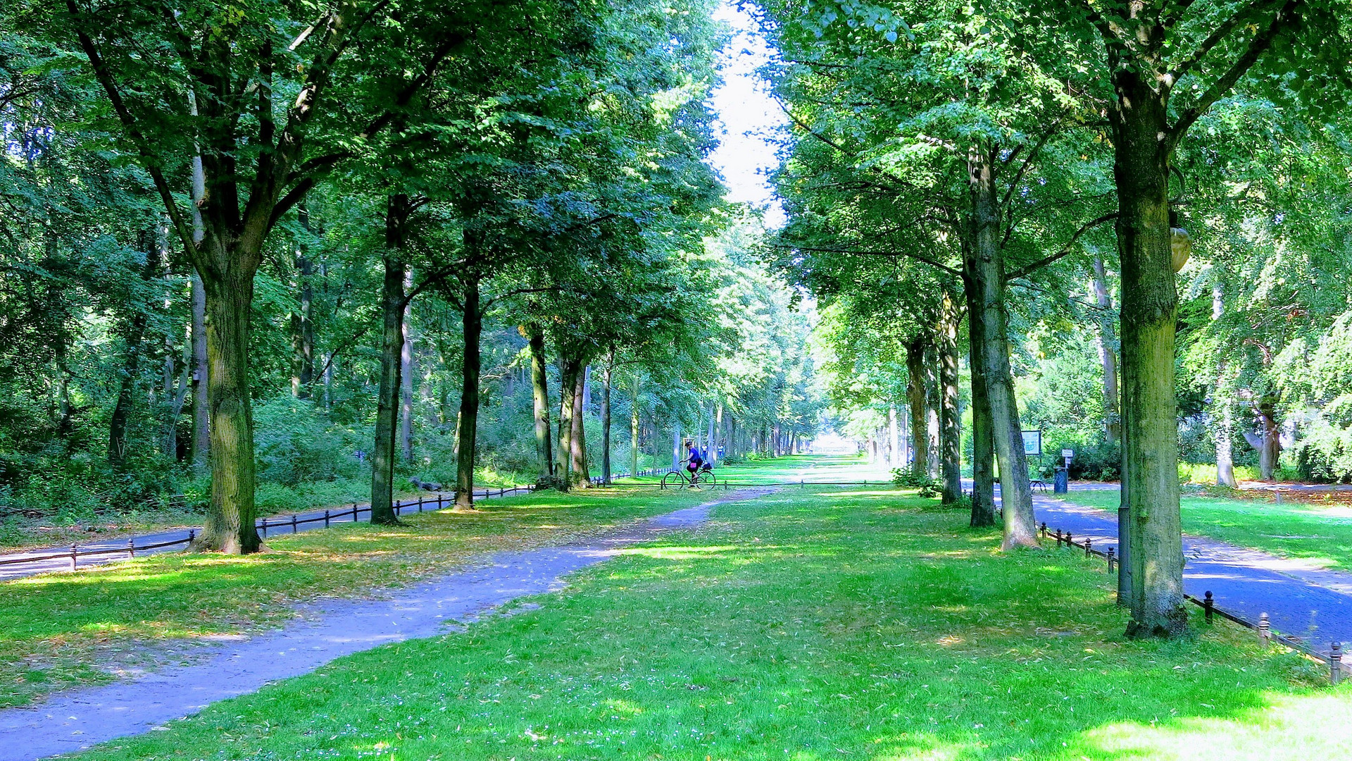 Berlin Tiergarten