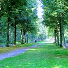 Berlin Tiergarten