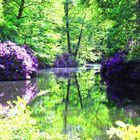 Berlin Tiergarten