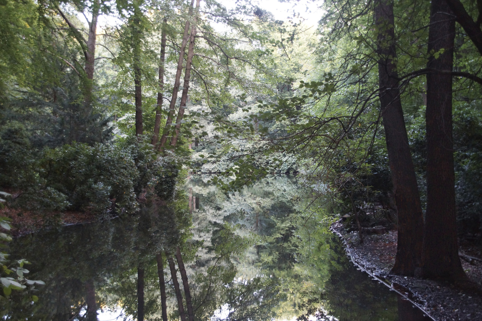 Berlin Tiergarten