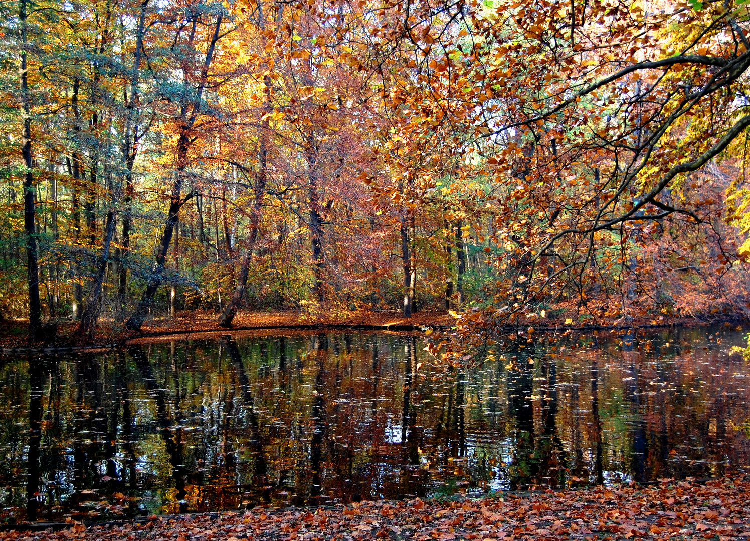 Berlin - Tiergarten