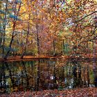 Berlin - Tiergarten