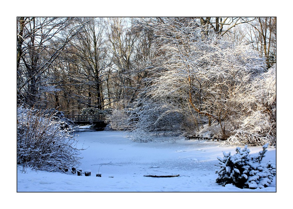 Berlin Tiergarten bei - 10 Grad