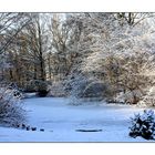 Berlin Tiergarten bei - 10 Grad