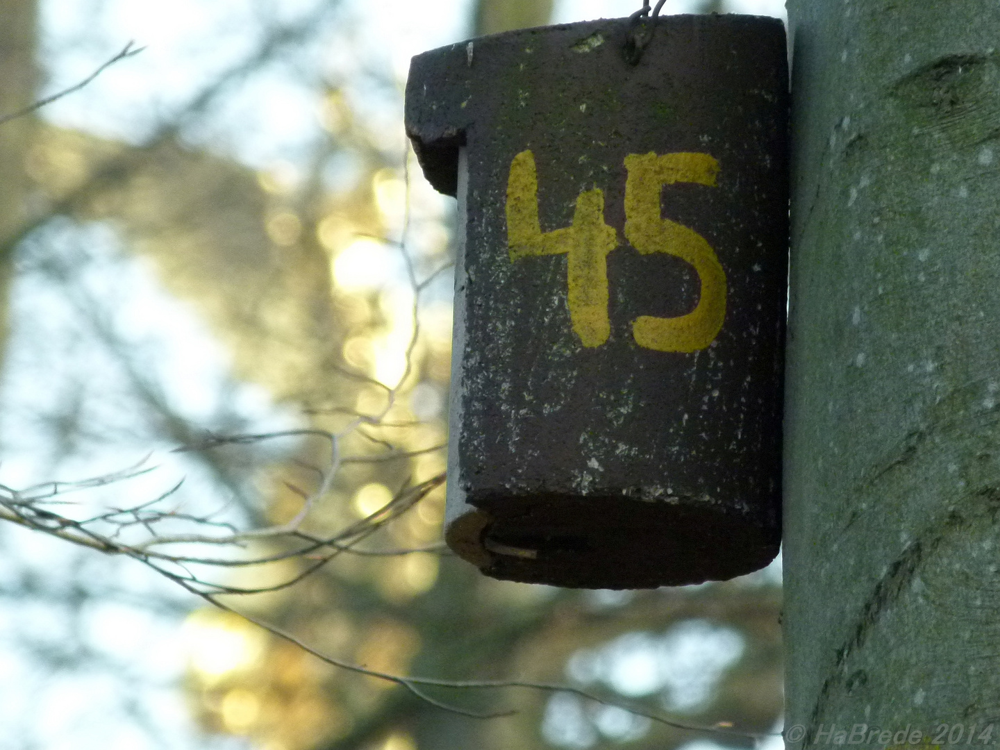 Berlin, Tiergarten, Haus Numer 45