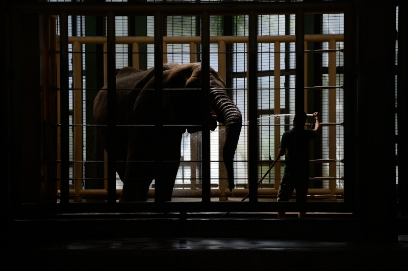 Berlin, Tierpark