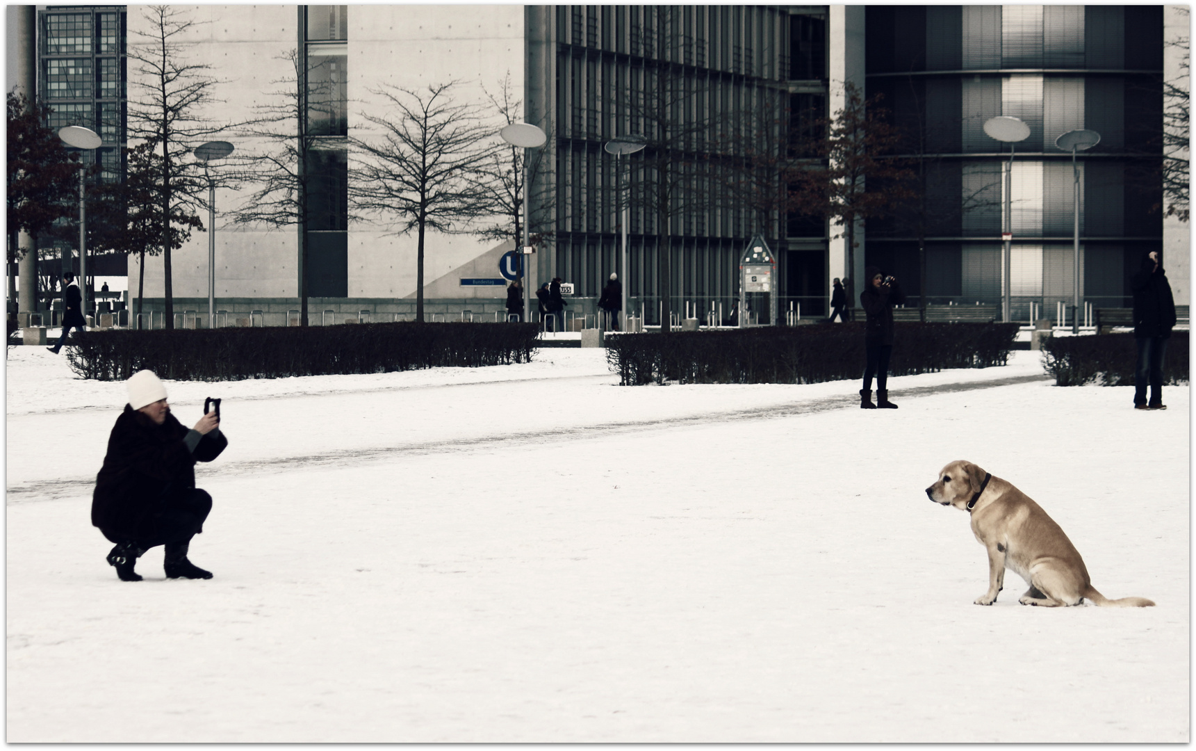 Berlin tourists, two-legged and four-legged