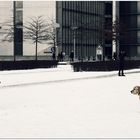 Berlin tourists, two-legged and four-legged