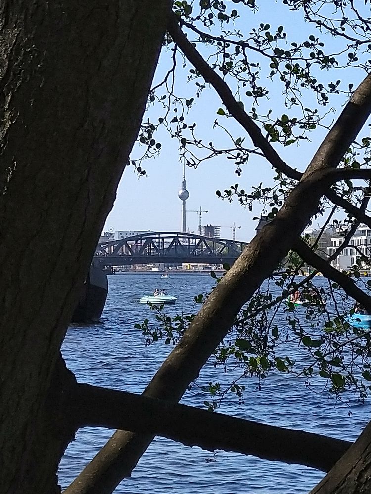 Berlin - Treptower Park an der Spree (Bild6)