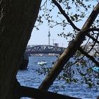 Berlin - Treptower Park an der Spree (Bild6)