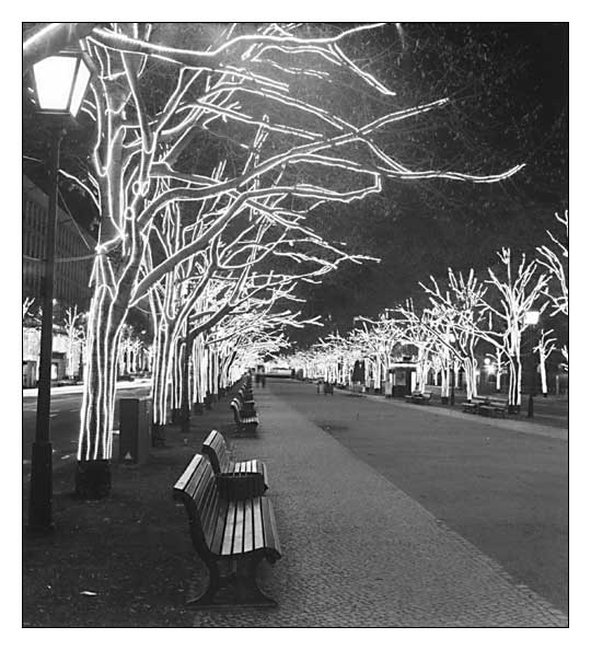 Berlin - Unter den Linden