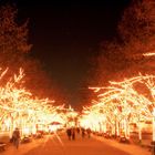 Berlin, Unter den Linden in Weihnachtsbeleuchtung