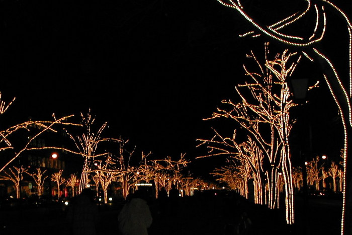 Berlin: Unter den Linden zur Winterzeit