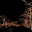 Berlin: Unter den Linden zur Winterzeit