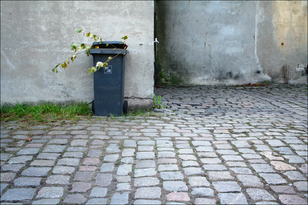 Berlin Walls #1