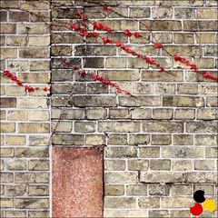 Berlin Walls #21